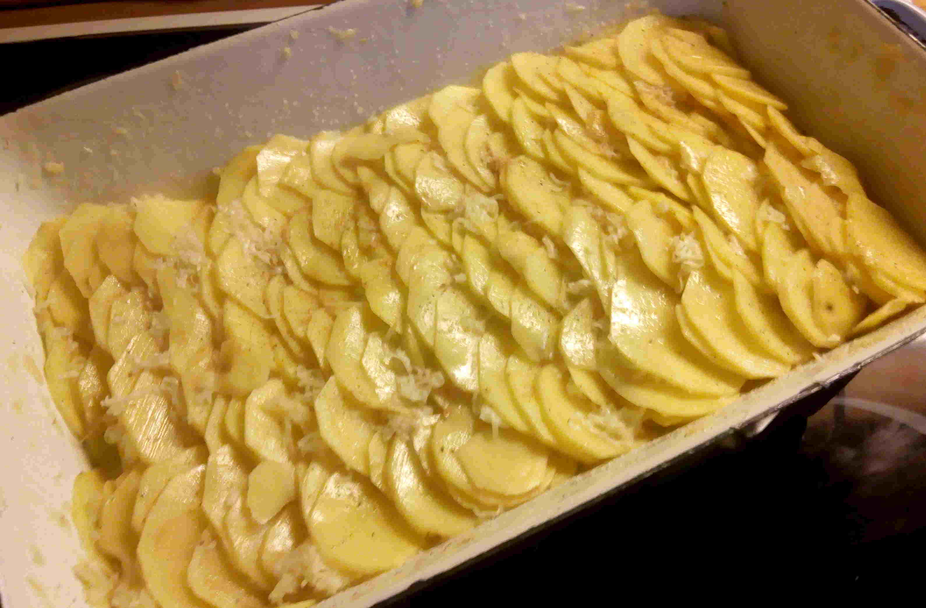 Kartoffelgratin Kartoffelgratin